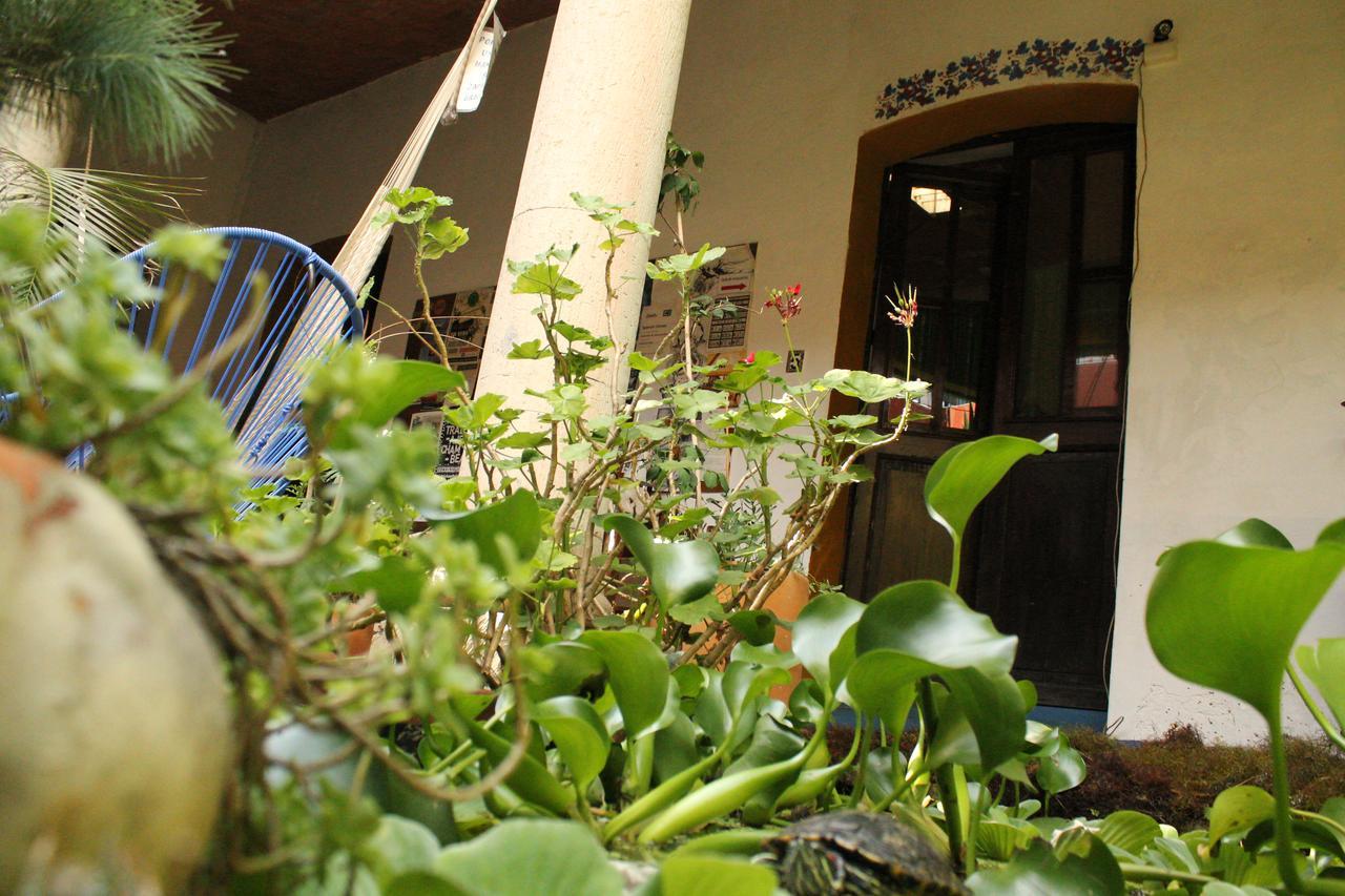 Hostal Luz De Luna Nuyoo Oaxaca Exterior photo
